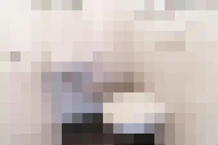Simon Vestdijklaan 19 Delft thumbnail 8