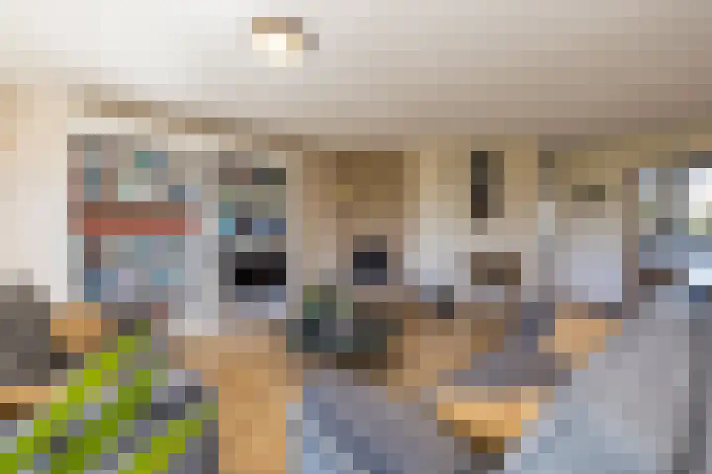 Simon Vestdijklaan 20 Oegstgeest thumbnail 13