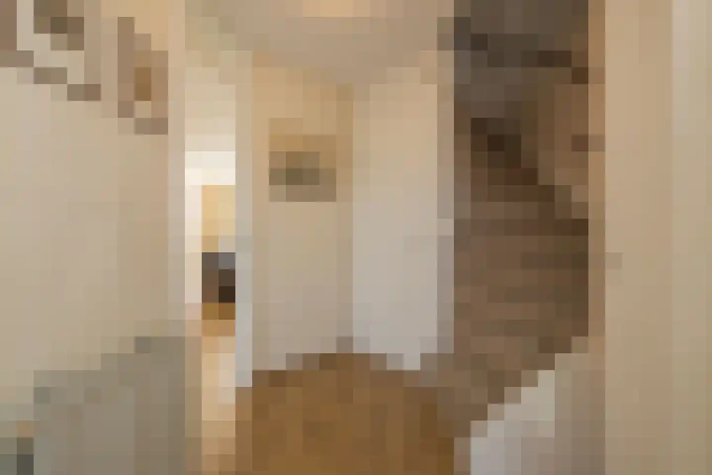 Simon Vestdijklaan 20 Oegstgeest thumbnail 7