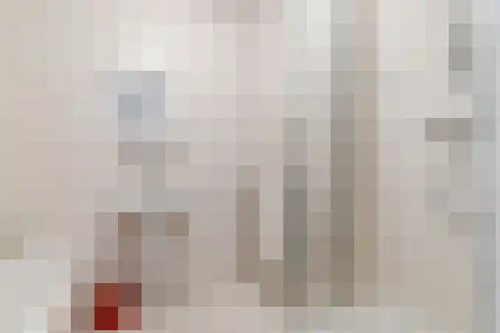 Simon Vestdijklaan 5 Delft thumbnail 24