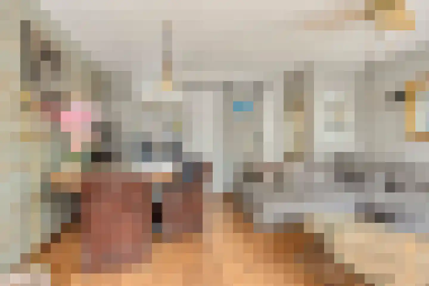 Simon Vestdijkpad 25 Rotterdam thumbnail 7