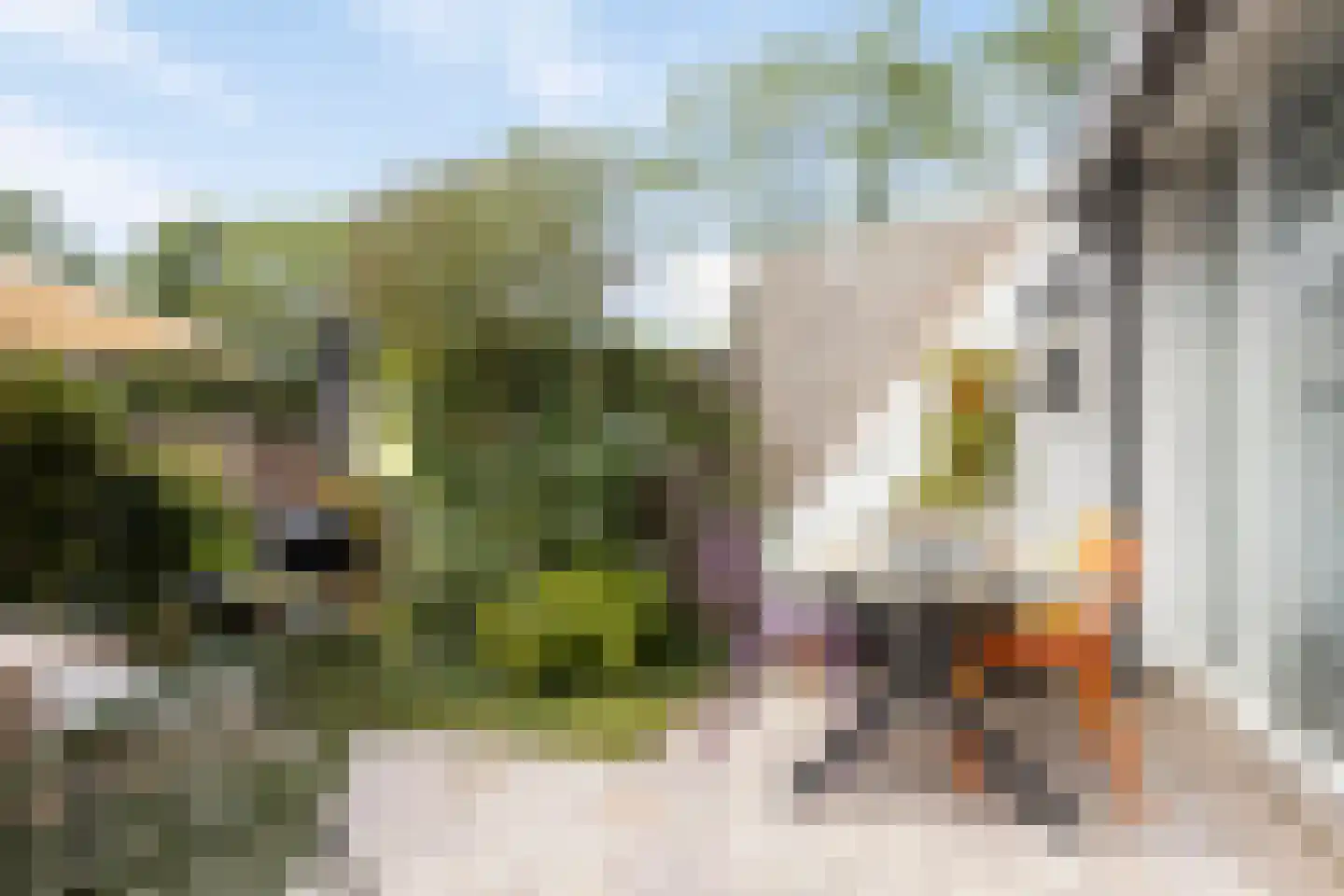 Simon Vestdijkpad 3 Rotterdam thumbnail 13