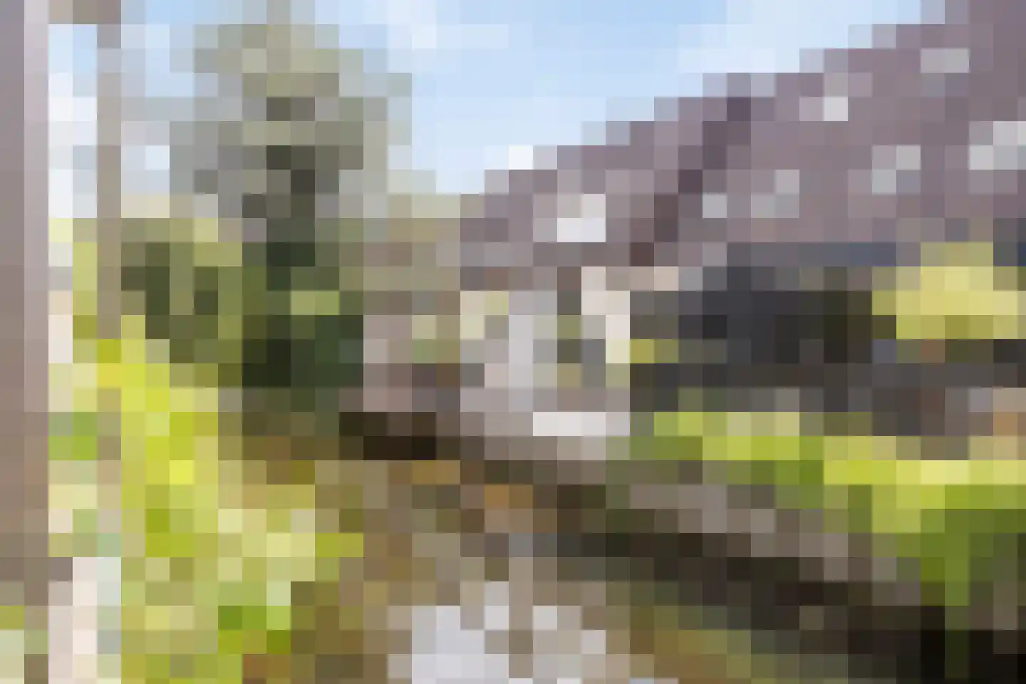 Simon Vestdijkpad 3 Rotterdam thumbnail 16