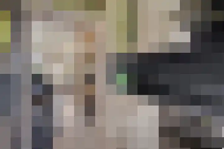 Simon Vestdijkpad 9 Rotterdam thumbnail 12