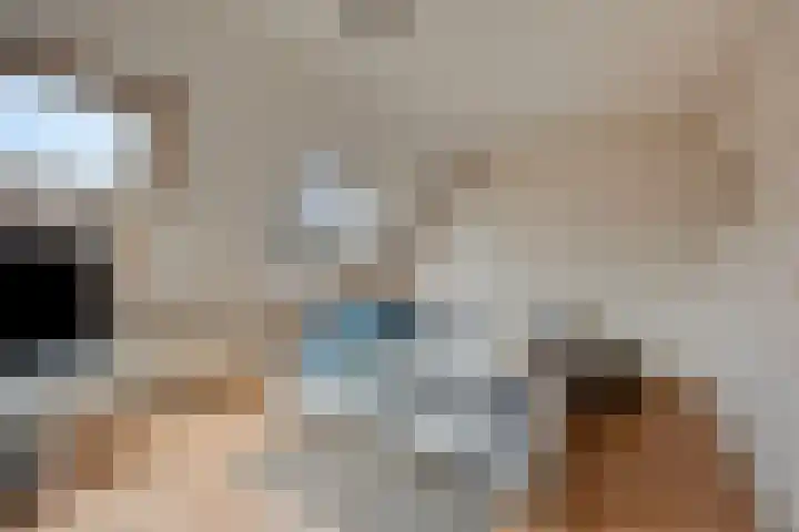 Simon Vestdijkpad 9 Rotterdam thumbnail 14
