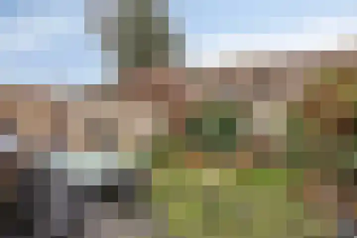 Simon Vestdijkpad 9 Rotterdam thumbnail 21
