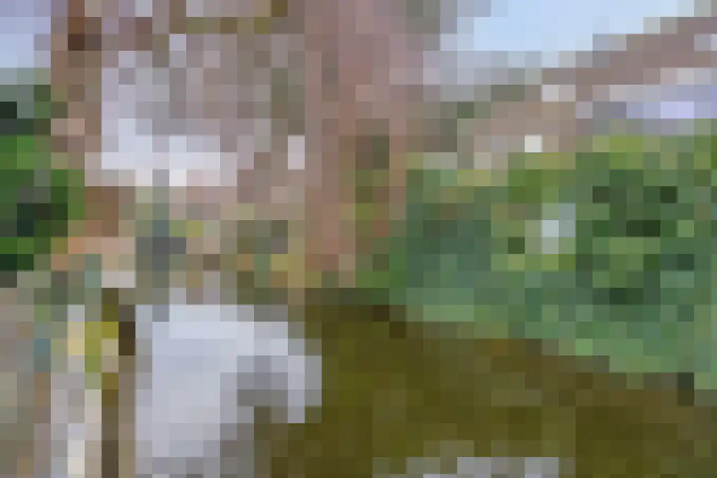 Simon Vestdijkpad 9 Rotterdam thumbnail 4
