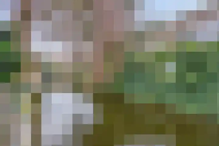 Simon Vestdijkpad 9 Rotterdam thumbnail 4