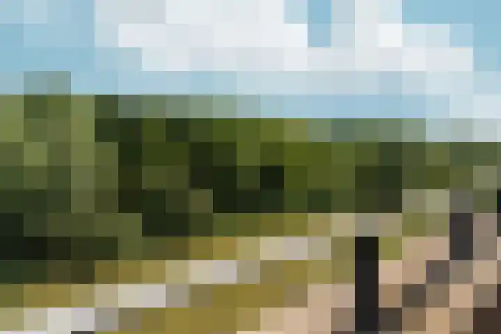 Simon Vestdijksingel 110 Arnhem thumbnail 33