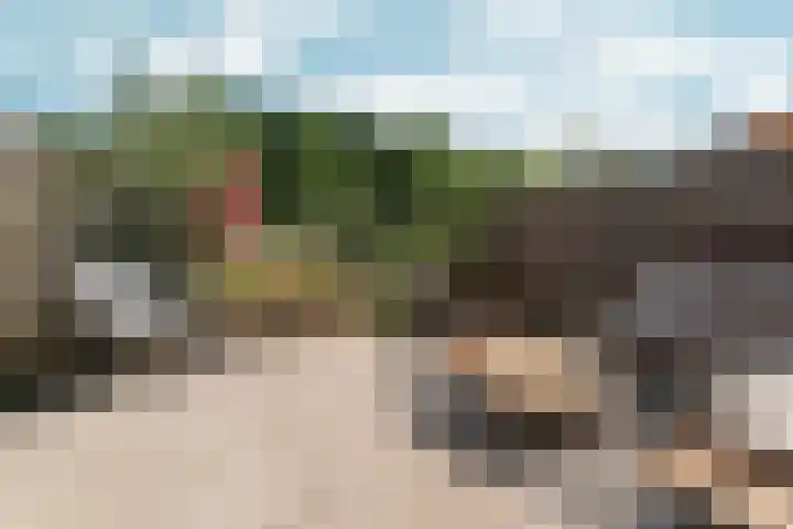Simon Vestdijksingel 110 Arnhem thumbnail 37