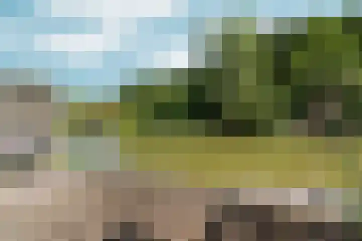 Simon Vestdijksingel 110 Arnhem thumbnail 40
