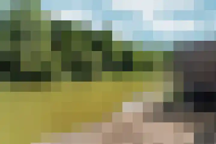 Simon Vestdijksingel 110 Arnhem thumbnail 41