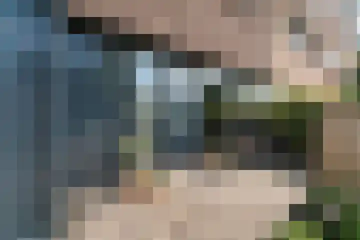 Simon Vestdijksingel 110 Arnhem thumbnail 46