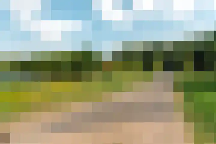 Simon Vestdijksingel 110 Arnhem thumbnail 49