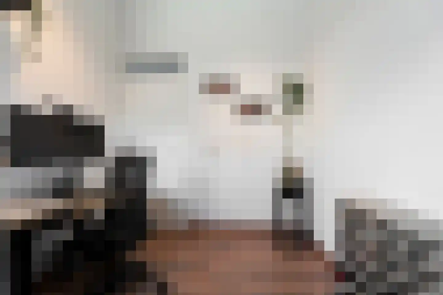 Simon Vestdijksingel 137 Arnhem thumbnail 25