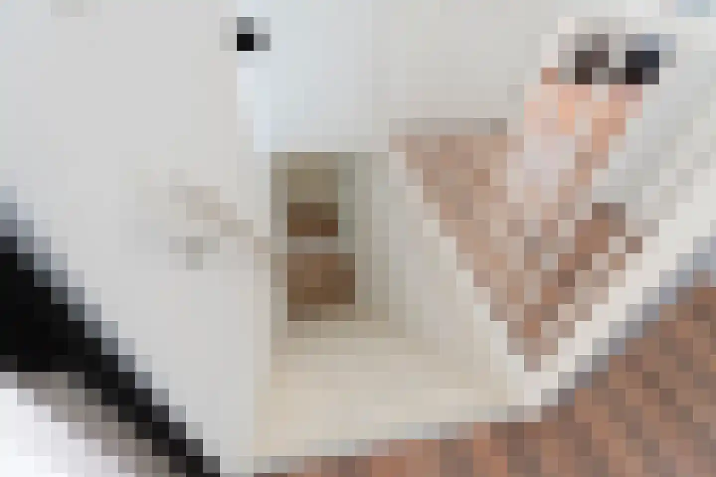 Simon Vestdijksingel 137 Arnhem thumbnail 32