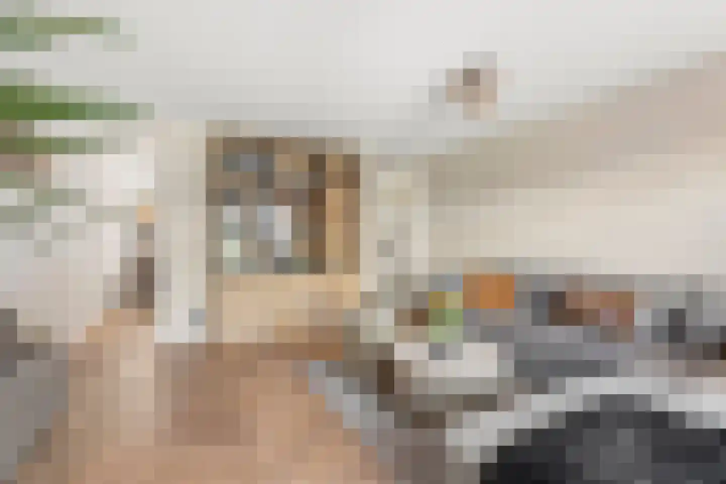 Simon Vestdijksingel 137 Arnhem thumbnail 8