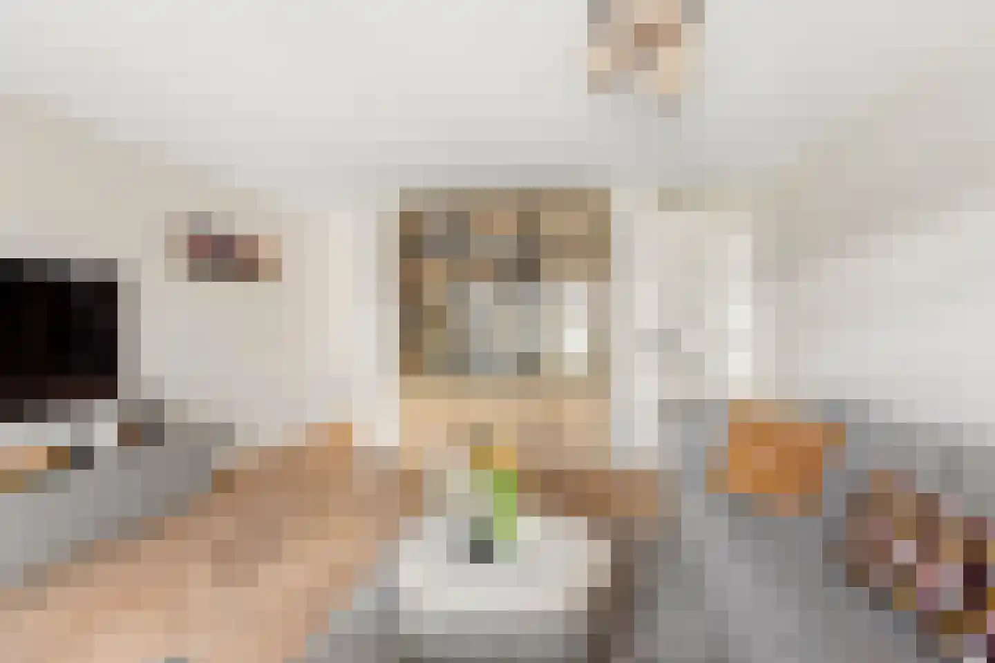 Simon Vestdijksingel 137 Arnhem thumbnail 9