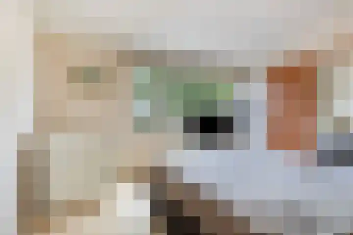 Simon Vestdijksingel 147 Arnhem thumbnail 22