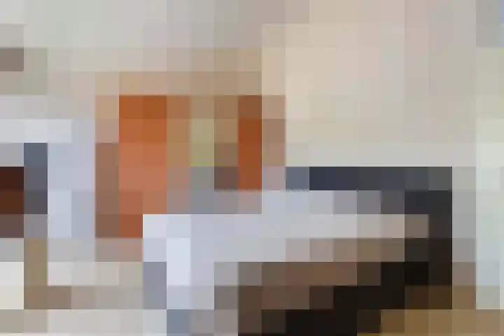 Simon Vestdijksingel 147 Arnhem thumbnail 23