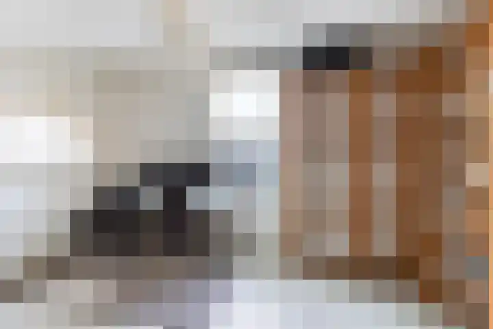 Simon Vestdijksingel 147 Arnhem thumbnail 32