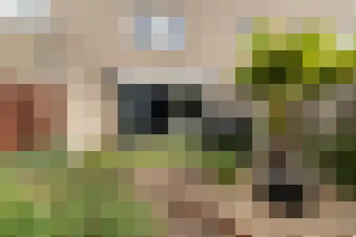 Simon Vestdijksingel 147 Arnhem thumbnail 33