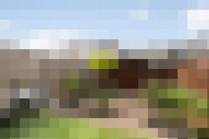 Simon Vestdijksingel 147 Arnhem thumbnail 35