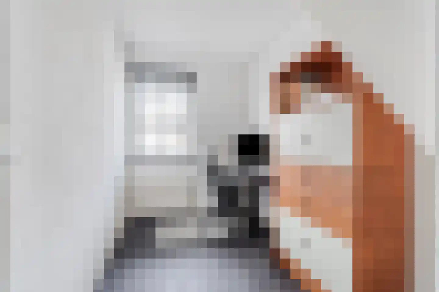 Simon Vestdijksingel 153 Arnhem thumbnail 18