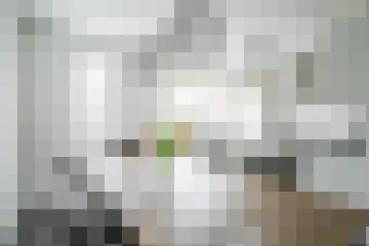 Simon Vestdijksingel 25 Berkel en Rodenrijs thumbnail 11