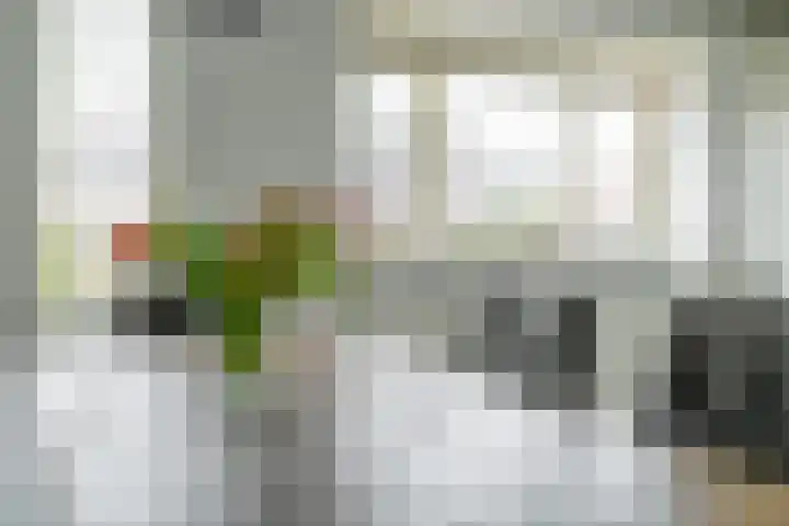 Simon Vestdijksingel 25 Berkel en Rodenrijs thumbnail 12