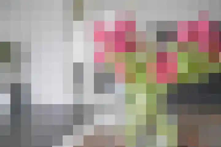 Simon Vestdijksingel 25 Berkel en Rodenrijs thumbnail 13