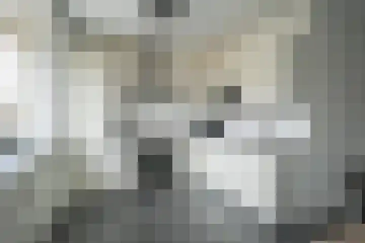 Simon Vestdijksingel 25 Berkel en Rodenrijs thumbnail 14