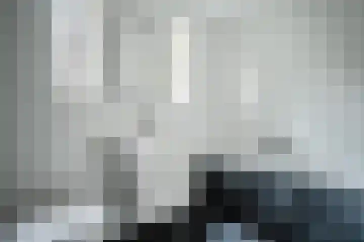 Simon Vestdijksingel 25 Berkel en Rodenrijs thumbnail 24