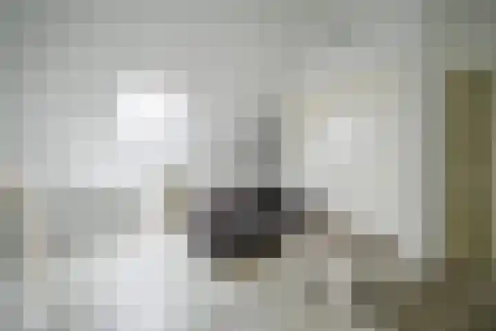 Simon Vestdijksingel 25 Berkel en Rodenrijs thumbnail 33