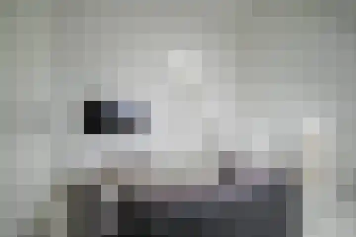 Simon Vestdijksingel 25 Berkel en Rodenrijs thumbnail 35