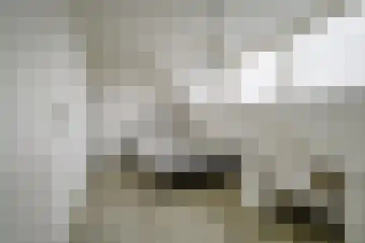 Simon Vestdijksingel 25 Berkel en Rodenrijs thumbnail 36