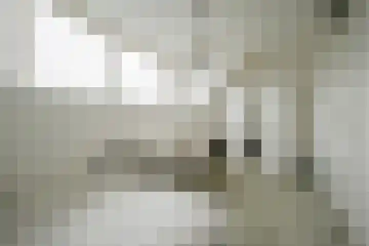 Simon Vestdijksingel 25 Berkel en Rodenrijs thumbnail 37