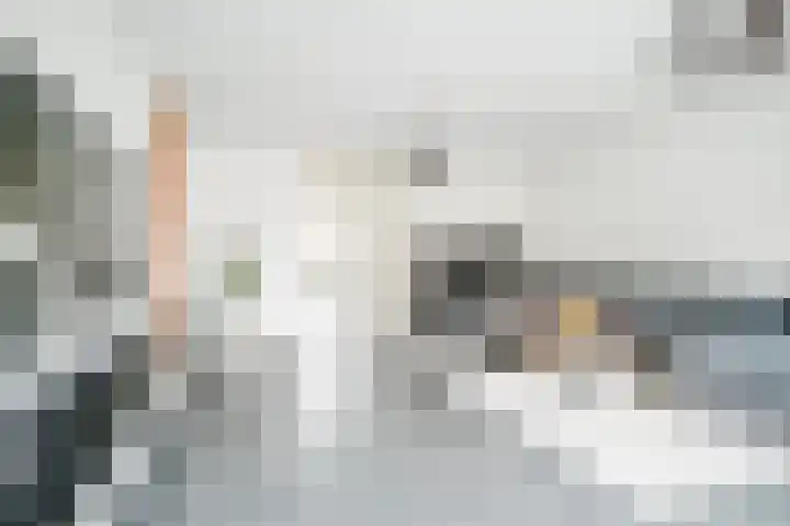 Simon Vestdijksingel 25 Berkel en Rodenrijs thumbnail 6