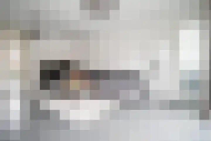 Simon Vestdijksingel 25 Berkel en Rodenrijs thumbnail 7