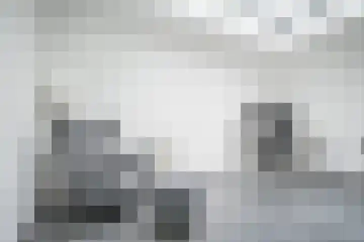 Simon Vestdijksingel 25 Berkel en Rodenrijs thumbnail 8