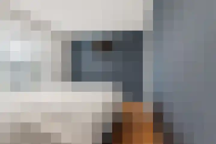 Simon Vestdijksingel 34 Arnhem thumbnail 19