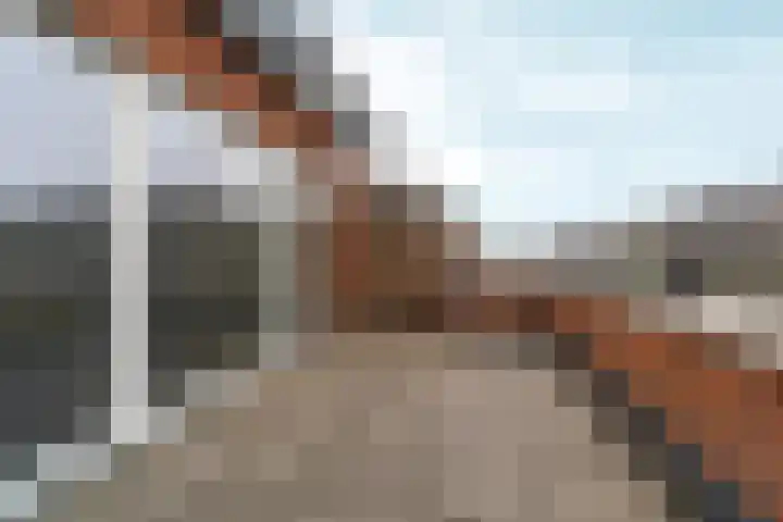 Simon Vestdijksingel 34 Arnhem thumbnail 36