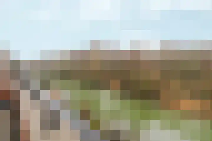 Simon Vestdijksingel 34 Arnhem thumbnail 37