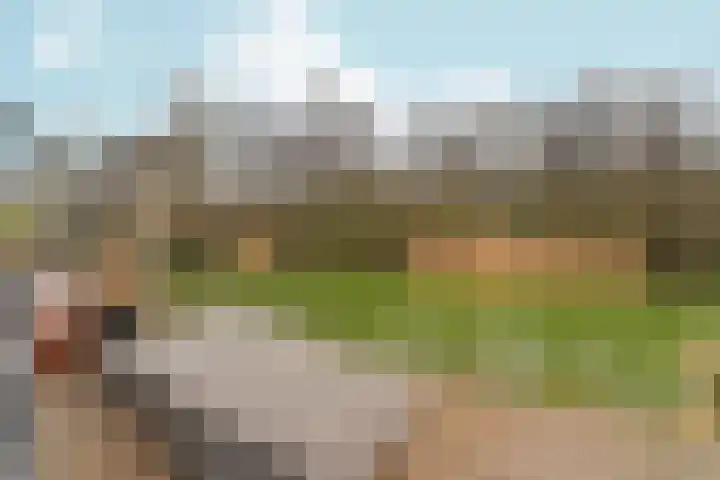 Simon Vestdijksingel 34 Arnhem thumbnail 42