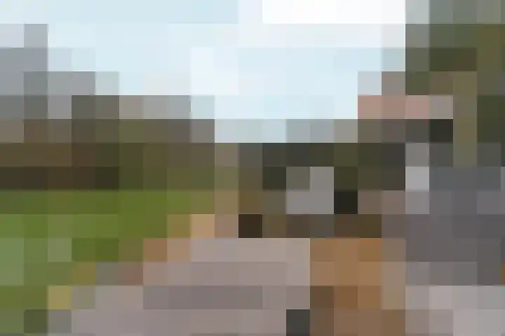 Simon Vestdijksingel 34 Arnhem thumbnail 43