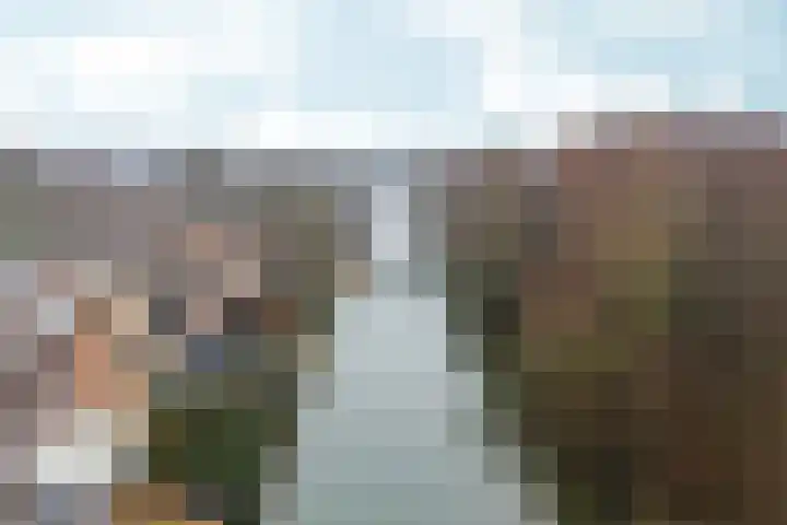 Simon Vestdijksingel 34 Arnhem thumbnail 45