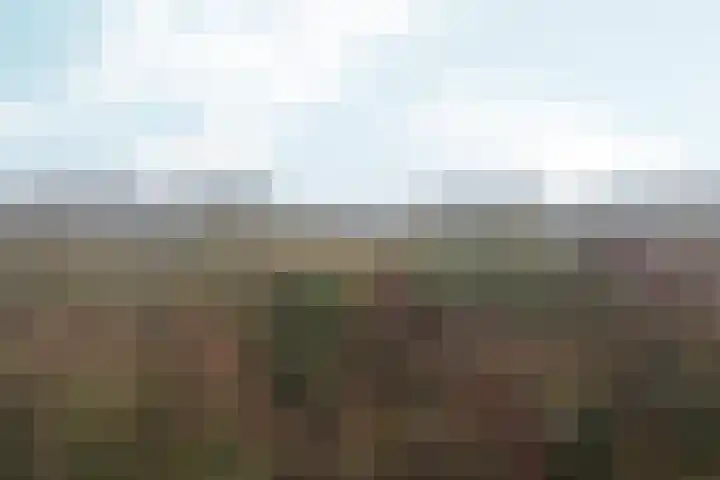 Simon Vestdijksingel 34 Arnhem thumbnail 47