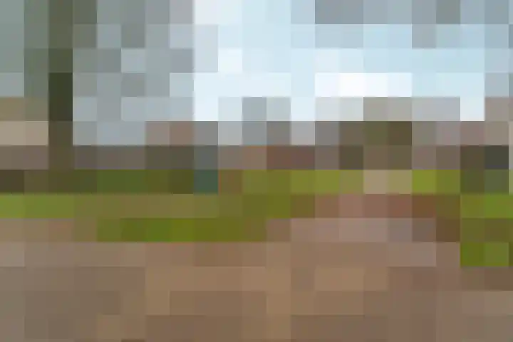 Simon Vestdijksingel 34 Arnhem thumbnail 55