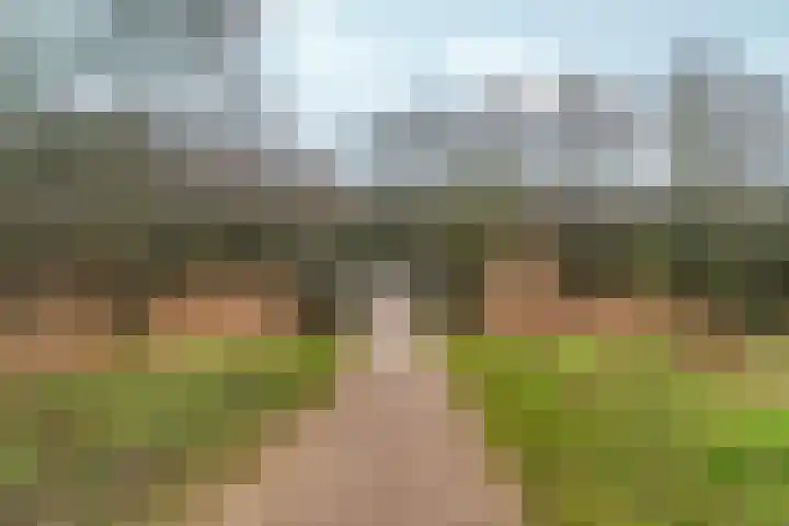Simon Vestdijksingel 34 Arnhem thumbnail 56