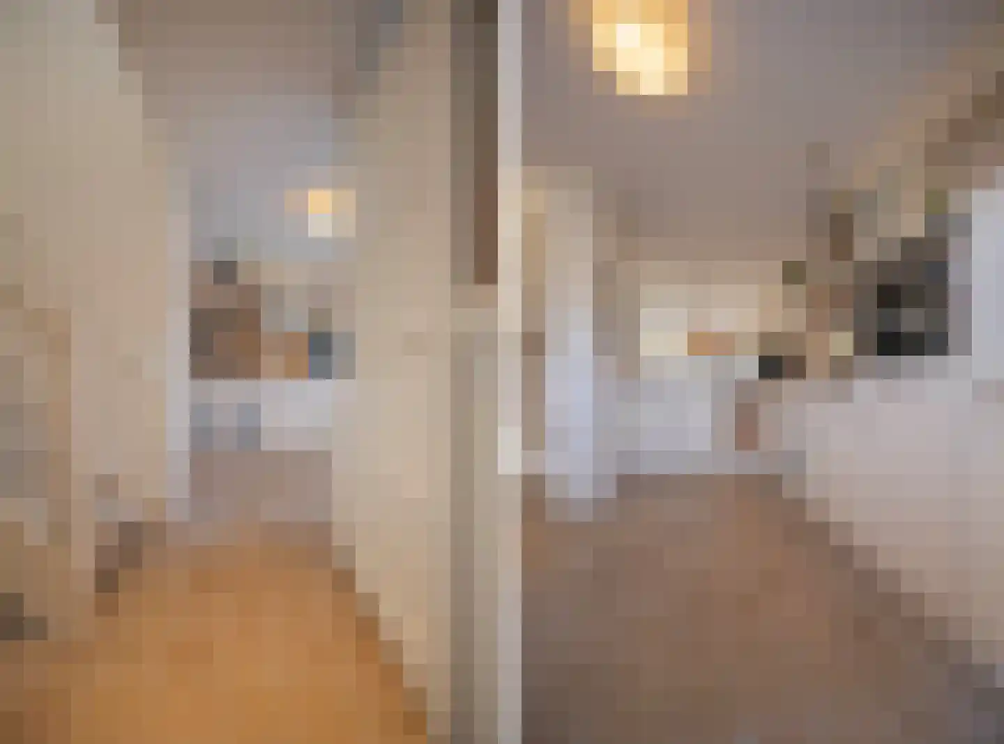 Simon Vestdijksingel 38 Arnhem thumbnail 17